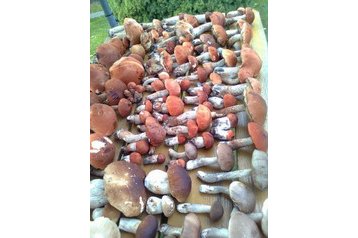 Cehia Bungalov Dobronice u Bechyně, Exteriorul